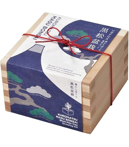【盆栽屋大和】黒松 大品盆栽 樹齢約120年 取りに来れる方大歓迎 展示品 Amazon.co.jp: 盆栽屋大和黒松 大盆栽 樹齢約120年 取りに来れる